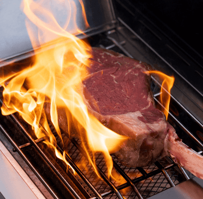 Monument Grills Eminence 405 | Chic Clearview® Smart Stainless Gas Grill