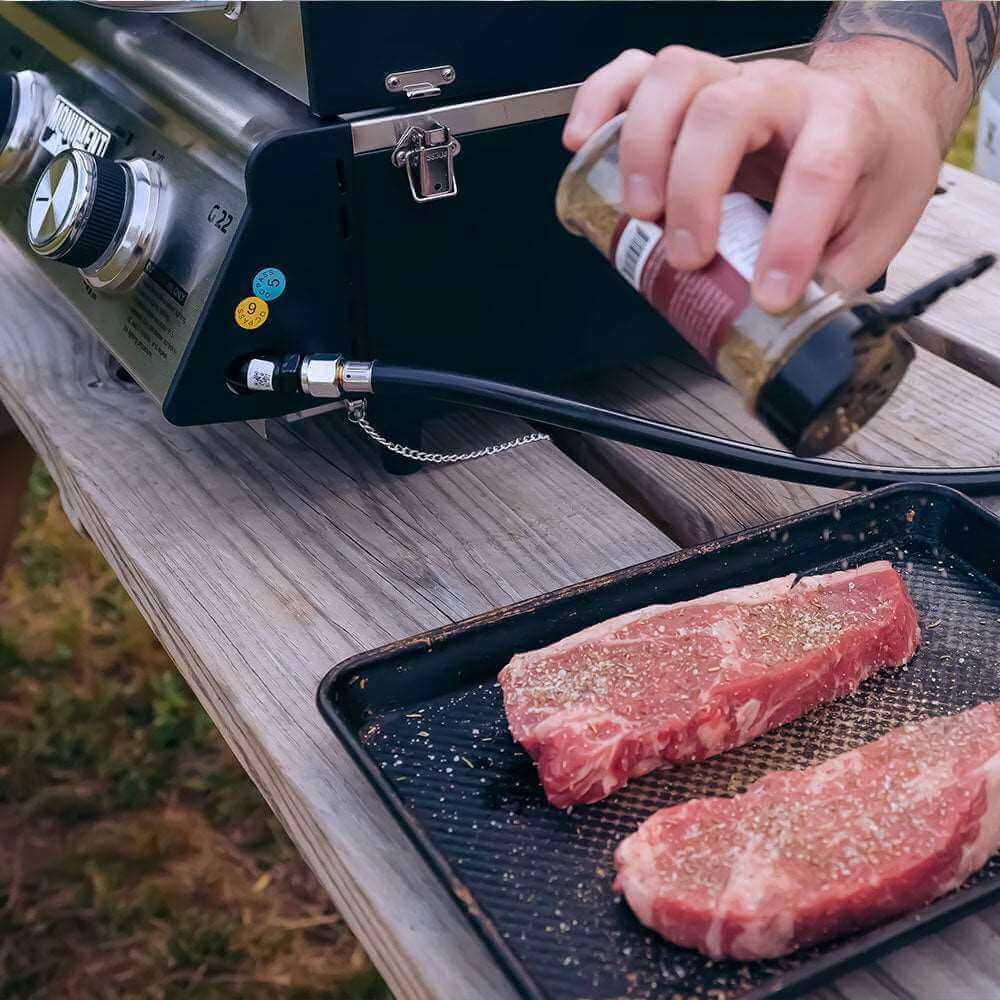 Monument Grills G22 | Stainless Tabletop Propane Gas Grill