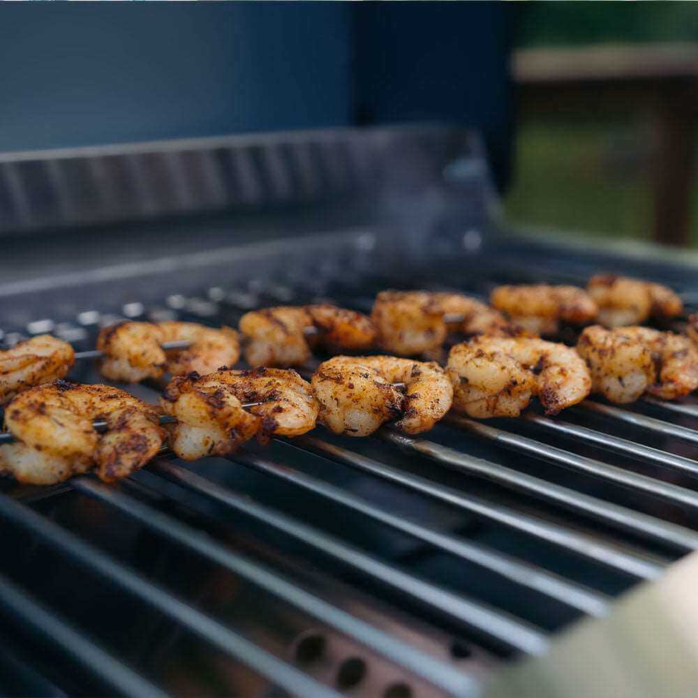 Monument Grills G22 | Stainless Tabletop Propane Gas Grill